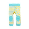 Zoocchini Legginsy i Skarpetki Żyrafa 12-18M