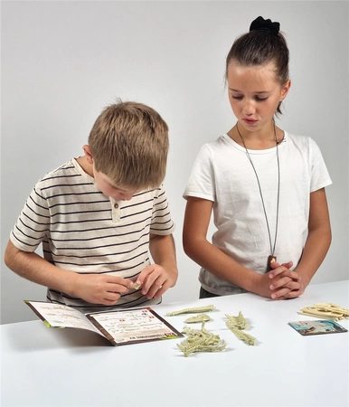 Pudełko 25 niespodzianek z dinozaurami BUKI