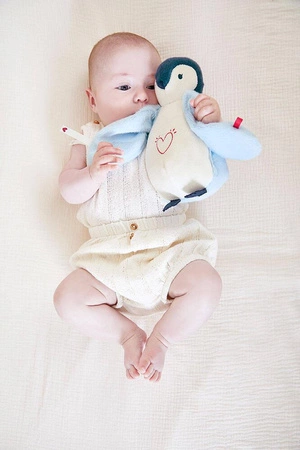 Kaloo Lampka nocna przytulanka Pingwinek Complices