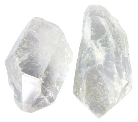 Bones&more, Kamień wykopaliska