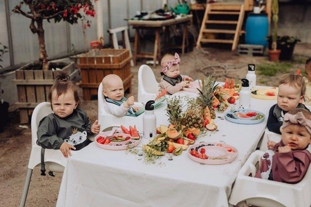 Baby Livia Śliniak z rękawkami Rust Lisek 302-7