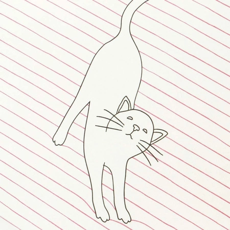 Średni Zeszyt - Felines - Koty - Stay Pawsitive (Pink)