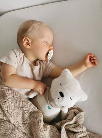 SZUMISIE - SZUMIĄCY MIŚ FRANEK Szumiś