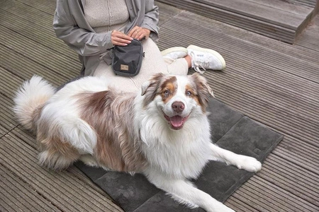 PALOPA Mata dla psa Alma anthracite S