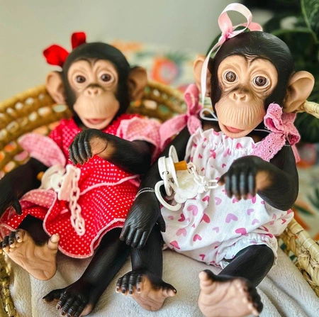 Małpka Lola w rampersie w serduszka Asi 0607170