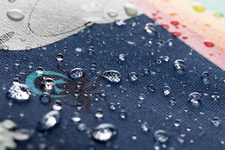 Tornister Mini, Statek kosmiczny, Jeune Premier