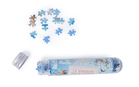 Display z mini puzzlami w tubie ODKRYWCY 712404