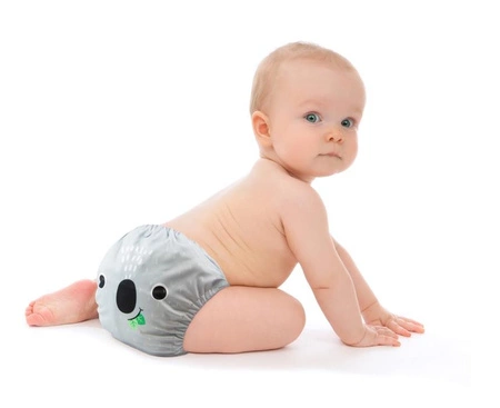 Zoocchini Pieluszka wielorazowa AIO z 2 wkładami Koala