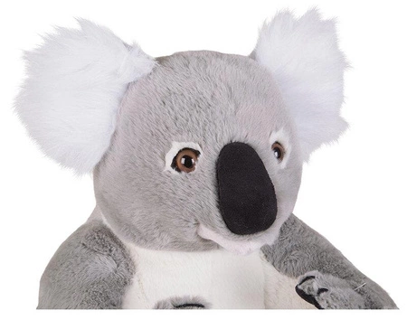 Maskotka miś Koala pluszak duża przytulanka dla dzieci Melissa and Doug 18806
