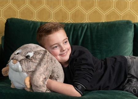 Królik Poduszka i pluszowy ogrzewacz do dłoni 2w1 Cozy Noxxiez HW701