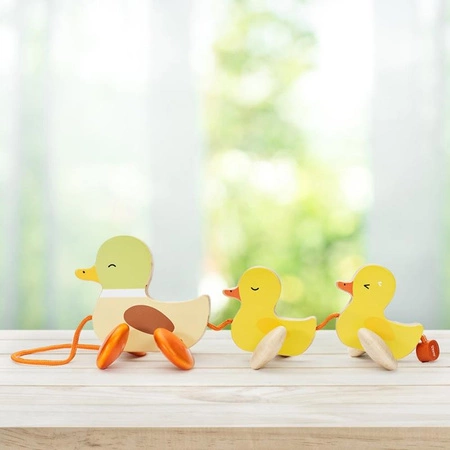 CLASSIC WORLD Kaczuszki Do Ciąganięcia Ze Sznureczkiem