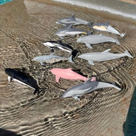 Safari Ltd. Zestaw Figurek - Delifny