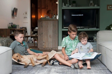 Deska do balansowania Original Transparent z filcem, Forest Green, Wobbel