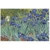 Puzzle mikro, menzurka Iris Van Gogh | Londji®