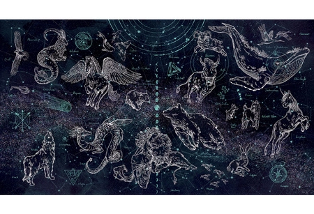 NOCNE NIEBO - Tapeta Ze Zwierzętami Malumi