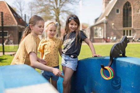 BS Toys, Gra zręcznościowa Czarny Kot