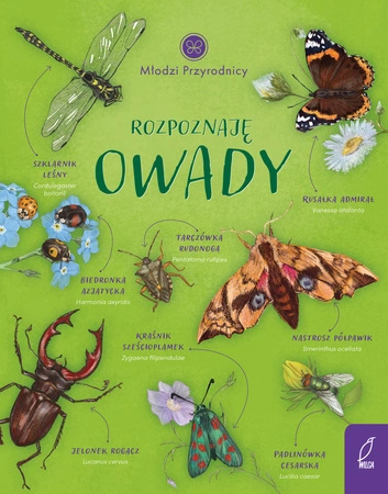 Rozpoznaję owady. Młodzi przyrodnicy