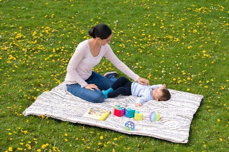 Amazonas Koc piknikowy Molly Cacao