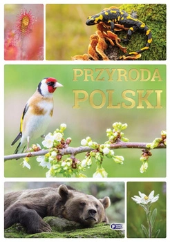 Przyroda Polski