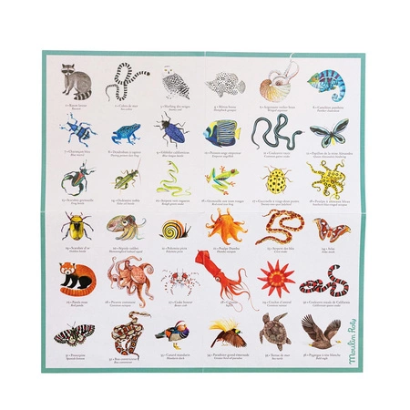 Gra edukacyjna MEMO ZWIERZĄTKA 719364