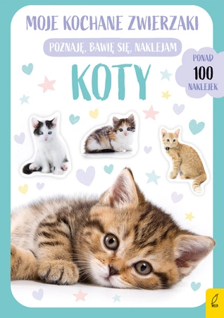 Koty. Moje kochane zwierzaki