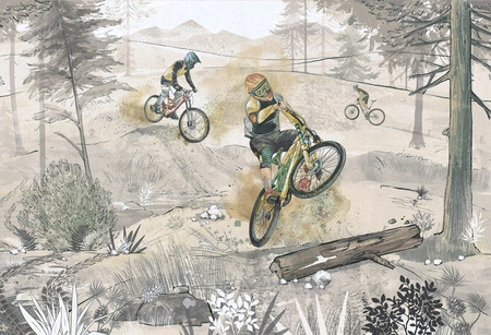 BIKE ROAD - Tapeta Z Rowerami Górskimi Malumi