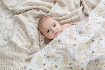 Lulujo Kocyk Muślinowy Modern Lama