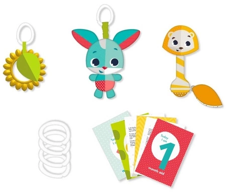 Zestaw zabawek dla dziecka z kartami - Zabawa na łące