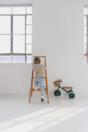 Banwood Rowerek trójkołowy Trike Dark Green