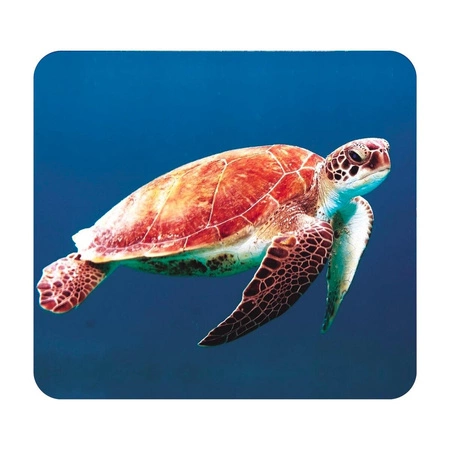 Latarka, Mini Projektor, Morze