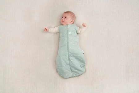 ergoPouch Otulacz Śpiworek 6-12M 2.5TOG