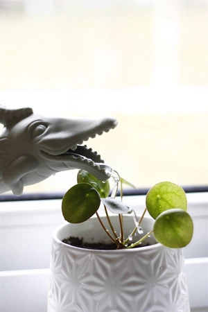 Silikonowa Konewka Krokodyl Scrunch - Błękitny