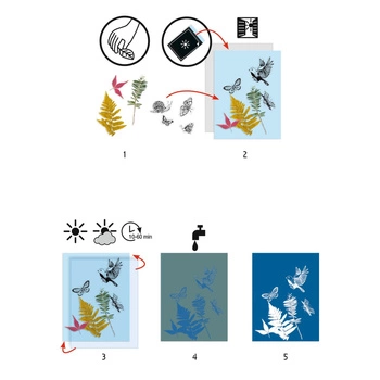 Zestaw artystyczny cyjanotypia LAS DJ09339