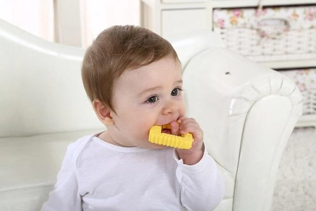 Mombella Gryzaki Geometryczne Zwierzątka