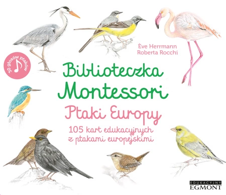 Ptaki Europy. Biblioteczka Montessori