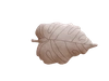 Poduszka Baby Leaf Rose Beige Lorena Canals