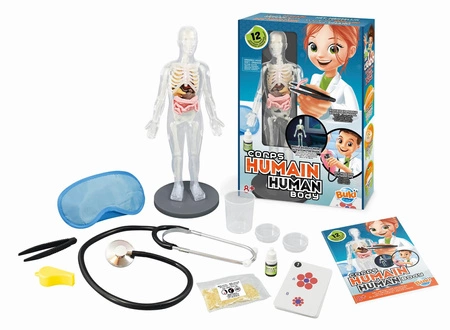 Ciało człowieka 2163