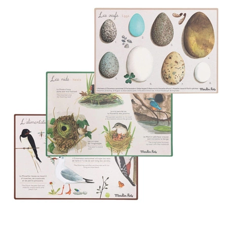 Pudełko "ODKRYWCY PTAKÓW" Moulin Roty 712151