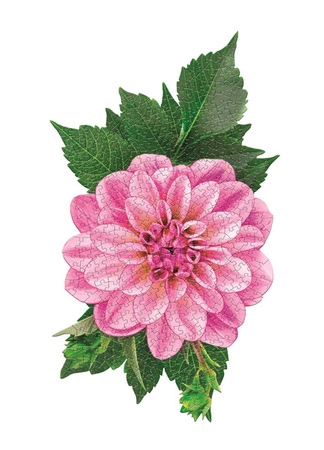 MADD CAPP, Puzzle konturowe I AM - Dalie 350 elem.