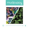 Mudpuppy Puzzle rodzinne świecące w ciemności Ptaki 500 elementów 8+