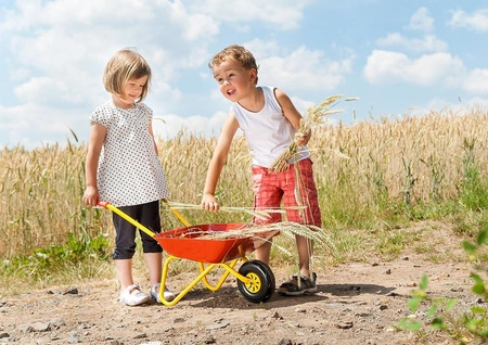 Taczka dla dzieci czerwona metalowa Rolly Toys