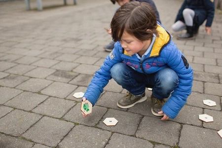 BS Toys, drewniana gra 4 w 1 Znajdź robaczka XL