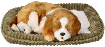 Oddychający szczeniaczek Cavalier