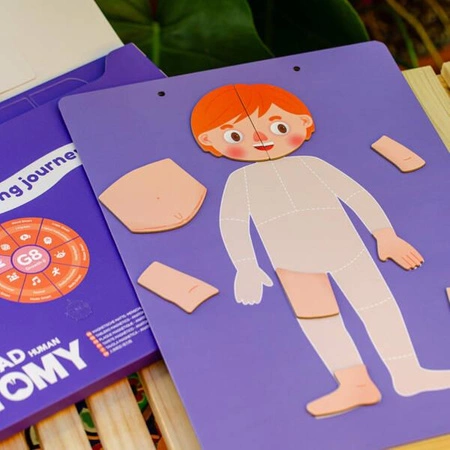 mierEdu Zabawa magnetyczna - Ciało człowieka ME0511