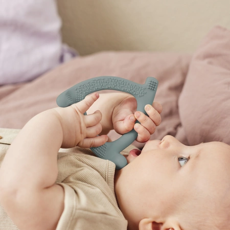 Gryzak silikonowy, morski, Everyday Baby