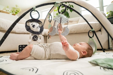 Gimnastyka/mata edukacyjna z pałąkami Decor czarno-biała