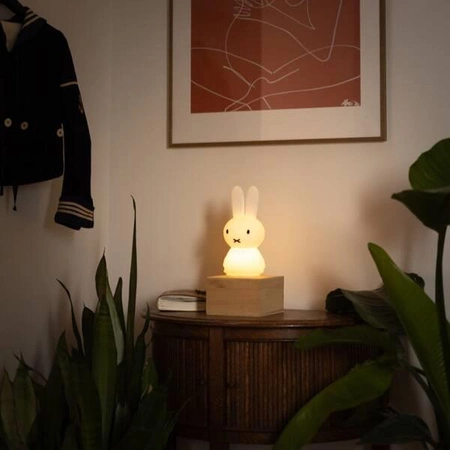 MrMaria Miffy Shines