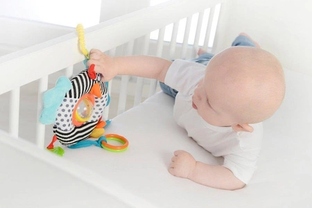 Zabawka sensoryczna Ptaszek, Dolce