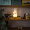 MrMaria Miffy Shines