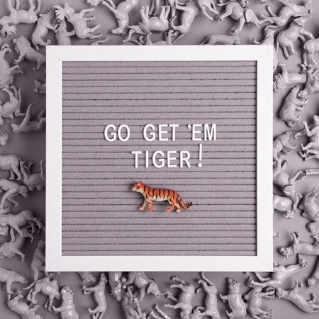 Pearhead Tablica z Literkami Gray